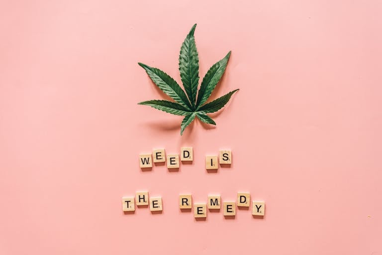 Cannabis leaf with Scrabble tiles spelling 'weed is the remedy' on a pink background.