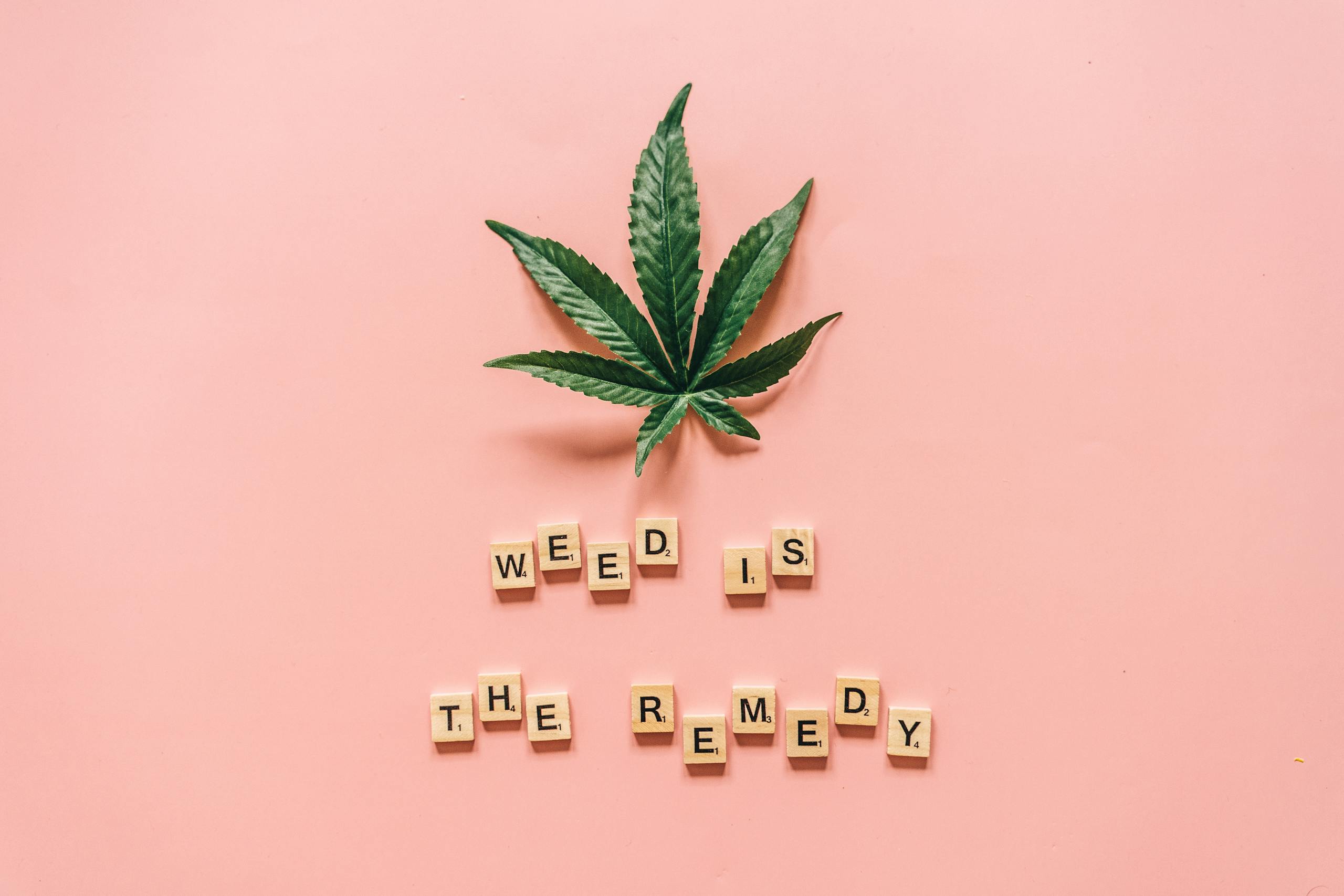 Cannabis leaf with Scrabble tiles spelling 'weed is the remedy' on a pink background.